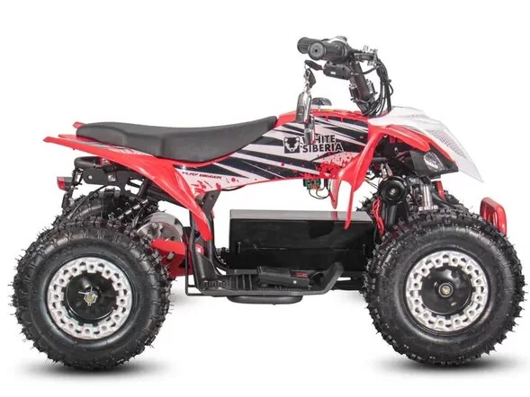 Детский электроквадроцикл WHITE SIBERIA SNEG LETO R 1000W